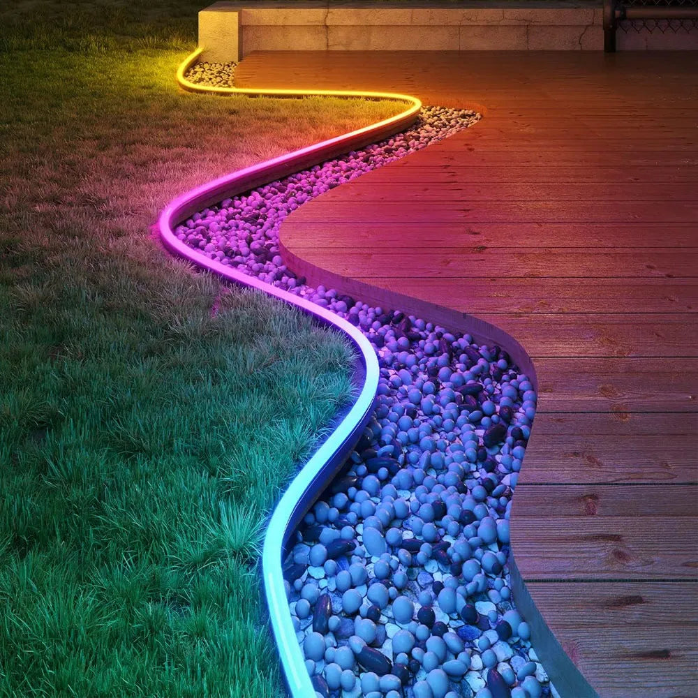 Neon Strip Lights